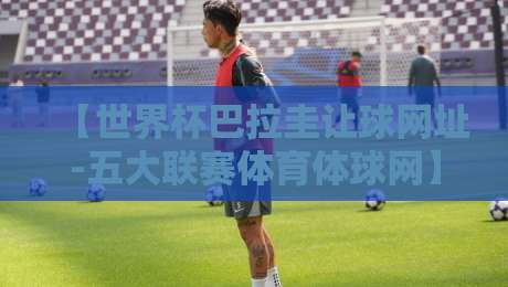 【世界杯巴拉圭让球网址-五大联赛体育体球网】!2026年球迷必看指南 【世界杯巴拉圭让球网址-五大联赛体育体球网】!2026年球迷必看指南